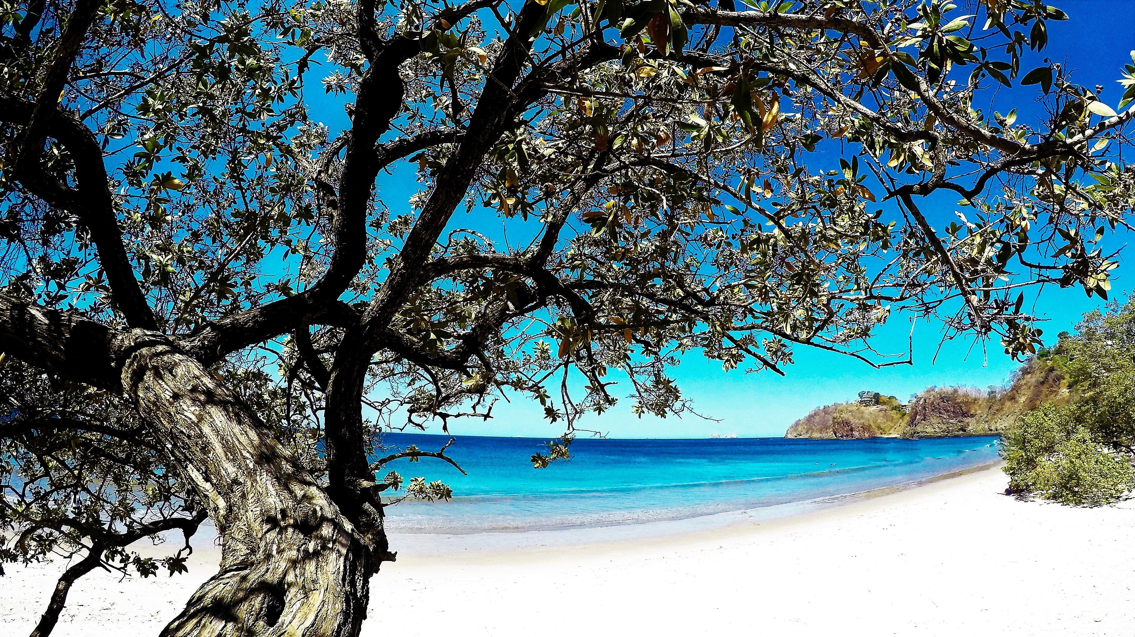 Resort Margaritaville 4*